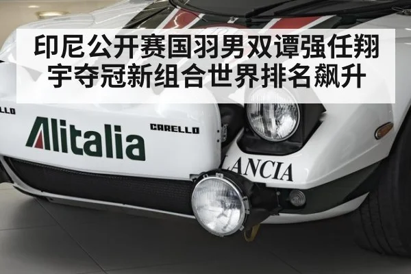 印尼公开赛国羽男双谭强任翔宇夺冠新组合世界排名飙升